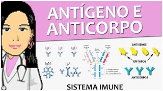 Imunologia 08  Antígeno e Anticorpo  Vídeo aula de sistema imune [upl. by Erret]