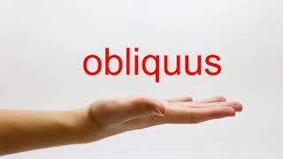 How to Pronounce obliquus  American English [upl. by Salvay923]