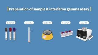 Procédure du test IGRA TB sur ichroma™ [upl. by Ruelle817]