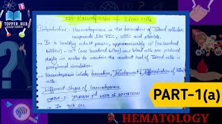 Haematopoiesis  Blood cells formation  Different states of haematopoiesis  Bone marrow [upl. by Annodal]