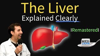 Liver Explained Function Pathology Diseases amp Cirrhosis [upl. by Ellehcyt]