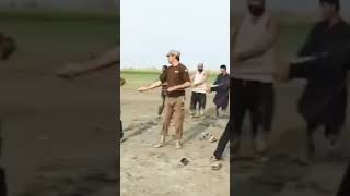 Rescuers try to pull out buffalo 🦬 from mud they are seriously in trouble rescueanimals [upl. by Alvera791]