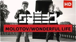 Seeed  Molotov  Wonderful Life official Video [upl. by Etnahs]