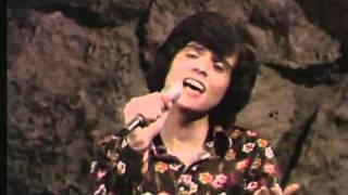 Young Love  Donny Osmond [upl. by Brigette]