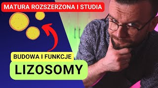 Lizosomy Funkcje i budowa Matura z biologii 2023  studia [upl. by Alvita]