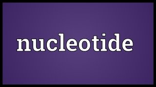 Nucleotide Meaning [upl. by Benson41]