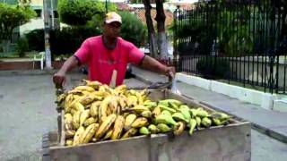 EL DEL PLATANO [upl. by Yeltihw]