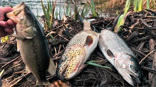 Spring Trout Fishing in Washington State [upl. by Nimsay]