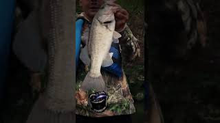 bassfishing fishing carp trollface sigma rule bass fishing [upl. by Sualk]