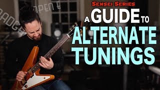 A Guitar Players Guide to Alternate Tunings [upl. by Nomor337]