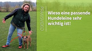 Hundeleine ➡️ Wieso eine passende Hundeleine sehr wichtig ist ➡️ Praxisvideo ✔️ [upl. by Alexandria]