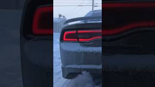 Dodge Charger cold start 🔥shorts trending viralshorts cars [upl. by Iak]