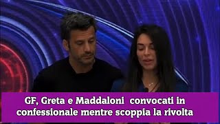 GF Greta e Maddaloni convocati in confessionale mentre scoppia la rivolta [upl. by Norahc]