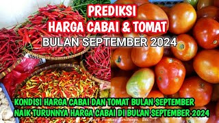 Prediksi harga cabai dan tomat bulan September 2024 [upl. by Moht]