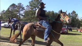 ROWE RANCH WALKING HORSE TRAIL RIDE 2023 [upl. by Allemap]