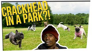 Off The Record Joes Dog Park Story amp a Beaws Argument ft DavidSoComedy [upl. by Lothar]