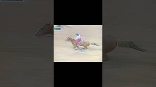 Barrel Racing  shorts cowboy horse barrelhorse barrelracing barrelracer fypviral fyp nfr [upl. by Liemaj]