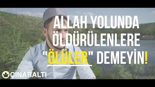 Bakara Suresi  Abdullah Altun Tilaveti [upl. by Noirret337]