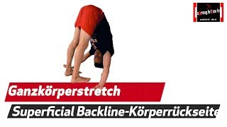 Sensationelle Dehnübung  Mega Stretch für die Körperrückseite [upl. by Ainesell290]