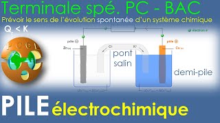 PILE ÉLECTROCHIMIQUE ½ piles Pont salin Polarité DANIELL Exo Tle Bac tit erreur signalée en coms 🙄 [upl. by Hynda]