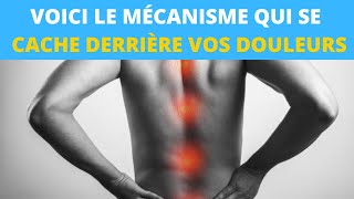 Voici le mécanisme qui se cache derrière vos douleurs [upl. by Mulderig]