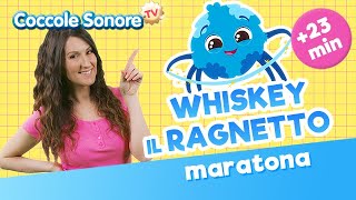 Whiskey il ragnetto  23 min di divertimento  Coccole Sonore [upl. by Otreblada]