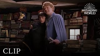 Gilderoy Lockhart  Harry Potter and the Chamber of Secrets [upl. by Atiuqrahs]