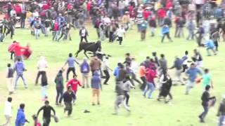 Les spectateurs dune corrida attaqués par un taureau [upl. by Aisilef838]