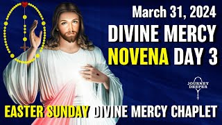 Divine Mercy Novena Day 3 ✝️ with Chaplet of Divine Mercy ✝️ March 31 2024 [upl. by Annamaria411]