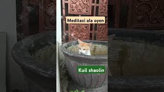 Oyen meditasi [upl. by Barcroft]