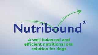 Nutribound for Dogs [upl. by Annaul928]