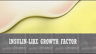 InsulinLike Growth Factor [upl. by Auhsaj]