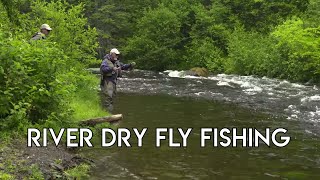 Dry Fly Trout  New Hampshire Fishing [upl. by Aynod]