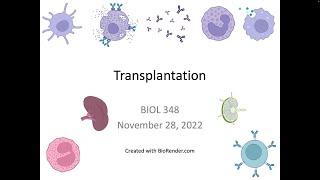 Immunology Fall 2022 Lecture 34 Transplantation [upl. by Sakul]