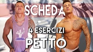 4 Esercizi PETTO  PETTORALI Scheda allenamento 1  Frankie Personal Trainer [upl. by Warfold878]