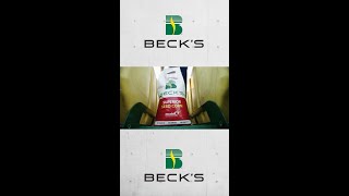 Becks is the seed company that gives you more [upl. by Atteynek]