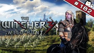 The Witcher 3 182  Der Sonnenstein DeutschGerman PC Version  Lets Play [upl. by Chrissie]