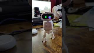 AIBI Robot Feeding him Cotton candy in his Basket Walker 🤣 aibipocketrobot aibirobot aibi [upl. by Ettevad]