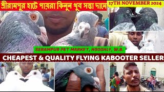 Serampur Pet Market 2024  জেনে নিন শ্রীরামপুর হাটে পায়রার দাম  Cheapest Pigeon Seller  171124 [upl. by Ailedo441]