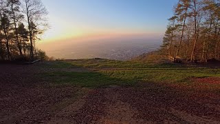 Sightseeing Ölberg Schriesheim  durch den Wald im Herbst 04112024 [upl. by Nareik133]