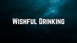 Ingrid Andress amp Sam Hunt  Wishful Drinking Lyrics [upl. by Heindrick]