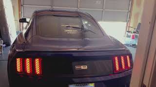 Deep and Throaty Exhaust Sound ON A V6 MUSTANG SO DOPE [upl. by Rocky]