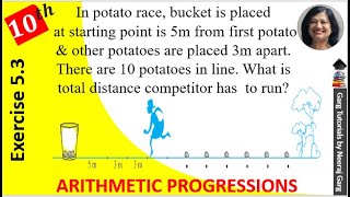 In a potato race a bucket is placed at the starting point which is 5 m from the first potato [upl. by Petrick]