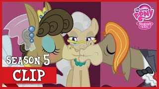 Crankys and Matildas Wedding Slice of Life  MLP FiM HD [upl. by Langham]