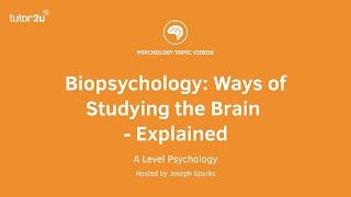 Biopsychology Ways of Studying the Brain Explained [upl. by Tiram404]