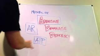 Adenosine Deaminase Deficiency Type of SCID [upl. by Lanie509]