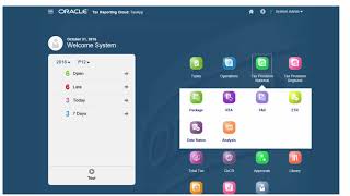 Overview Tour of Tax Reporting Cloud [upl. by Yrdnal]