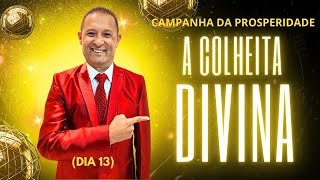 TV Deus é fiel Campanha 13 A COLHEITA DIVINA Com o Missionário Marcelo GomesBR [upl. by Nnagrom121]