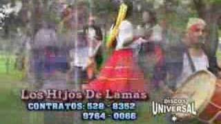 Los Hijos de Lamas  La Warmicita [upl. by Yrok]