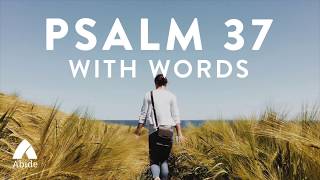 Psalm 37 Abide Bible Meditation  Trust in the Lord and Do Good [upl. by Pawsner]